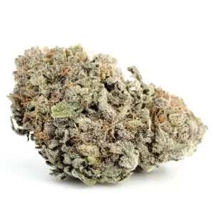 Blackwater Cannabis Strain UK